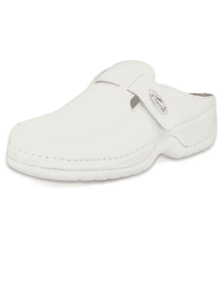 ZUECO SANITARIO SEÑORA, MASTER 2000  03 BLANCO